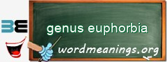 WordMeaning blackboard for genus euphorbia
